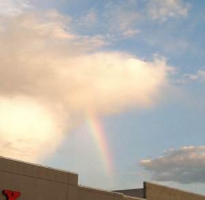 The rainbow I spotted